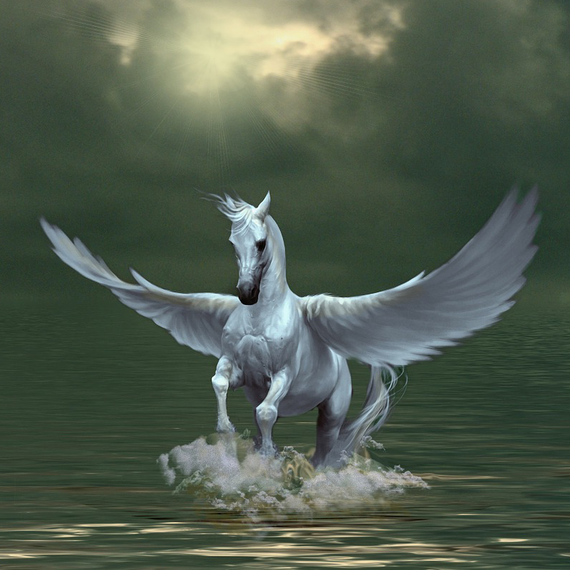 Pegasus